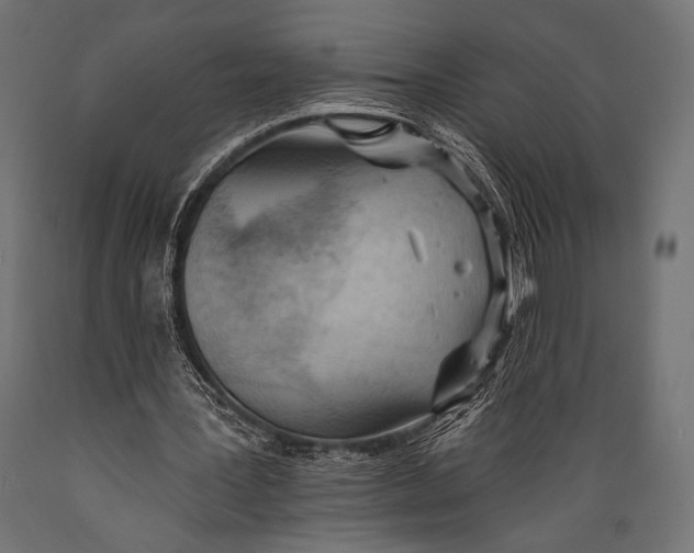 X0000088870387200706291545