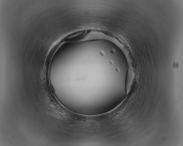 X0000088870388200706291545
