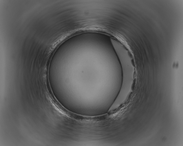X0000088870389200706291545