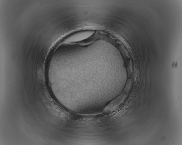 X0000088870391200706291545