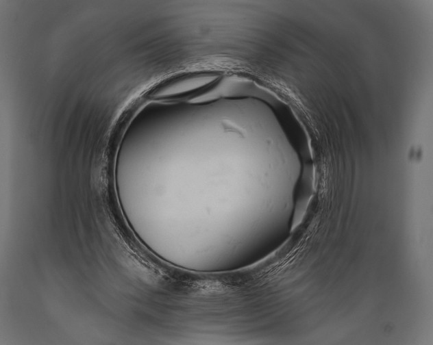X0000088870392200706291545