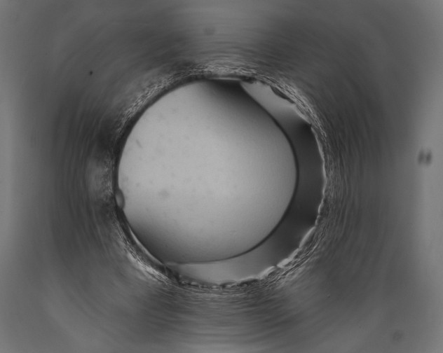 X0000088870393200706291545