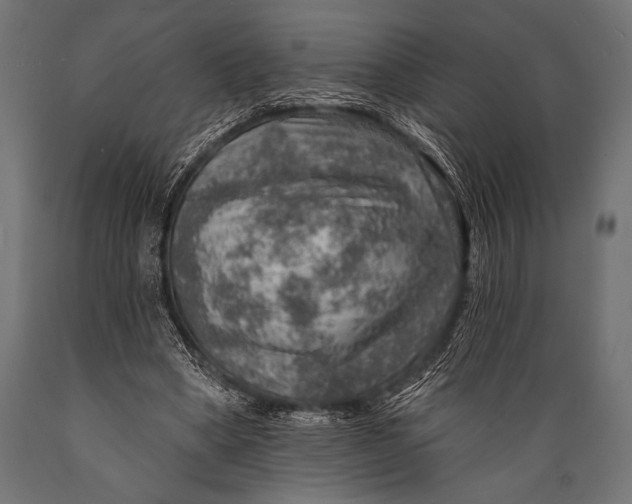 X0000088870394200706291545