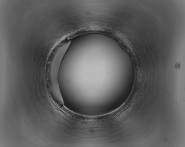 X0000088870395200706291545