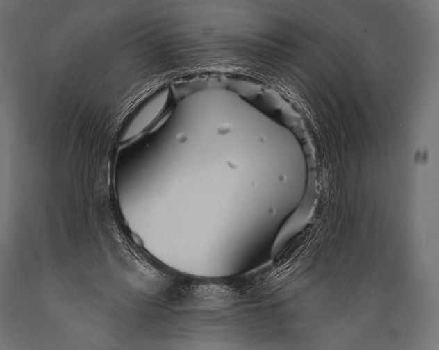 X0000088870397200706291545