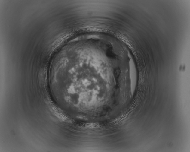 X0000088870398200706291545