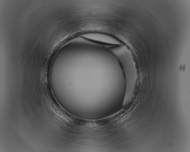 X0000088870399200706291545