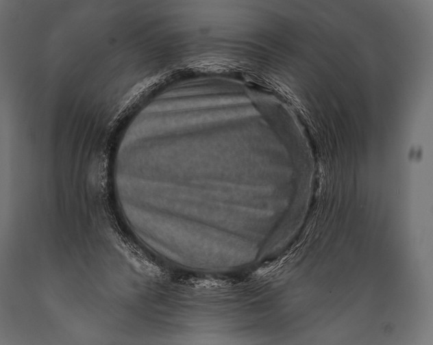 X0000088870400200706291545