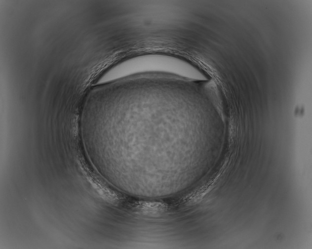X0000088870401200706291545