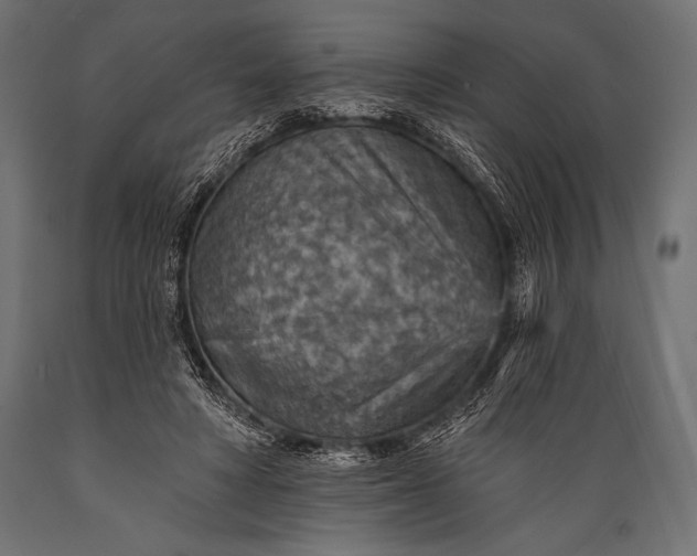 X0000088870402200706291545