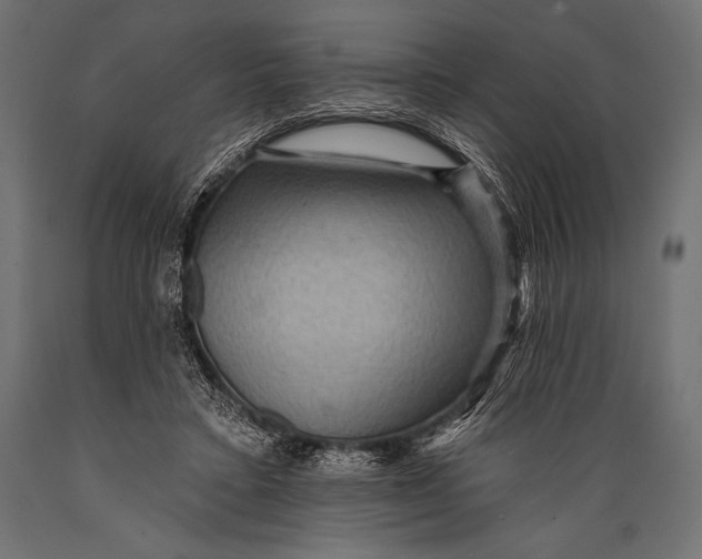 X0000088870403200706291545