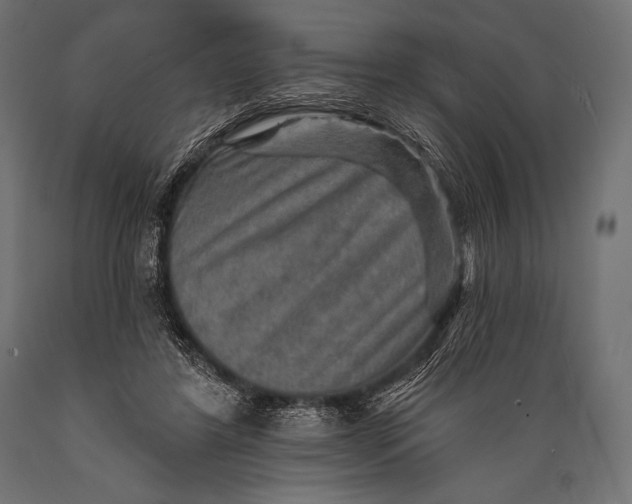 X0000088870404200706291545