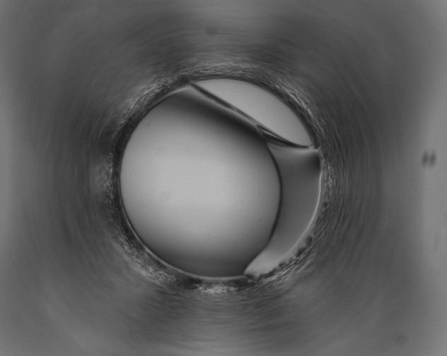 X0000088870407200706291545