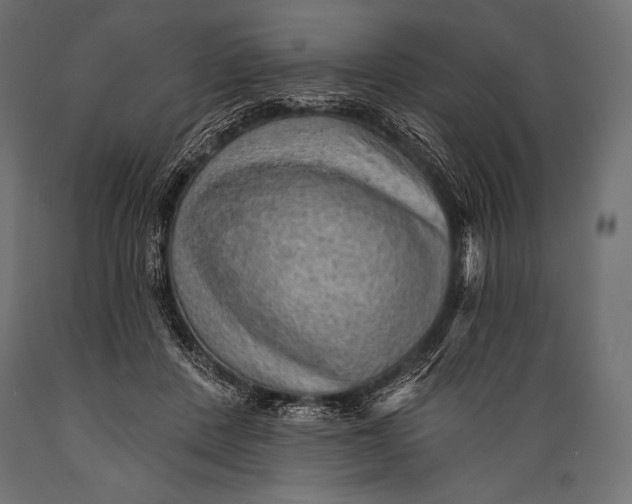 X0000088870408200706291545