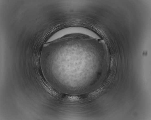 X0000088870409200706291545