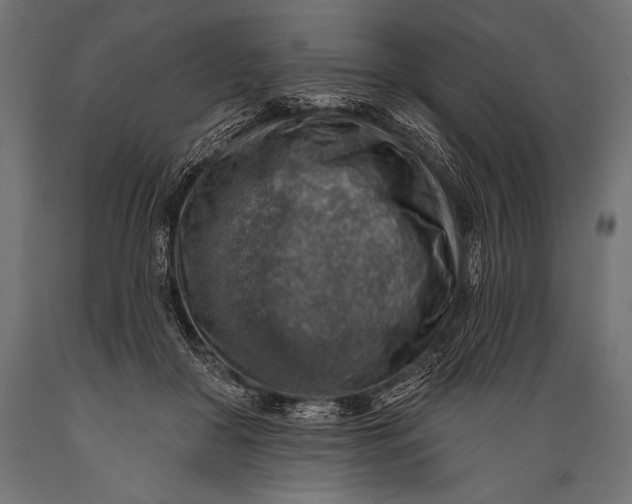 X0000088870410200706291545