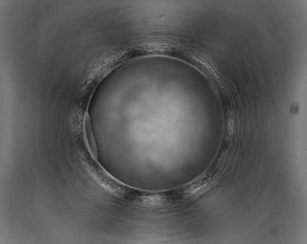 X0000088870411200706291545