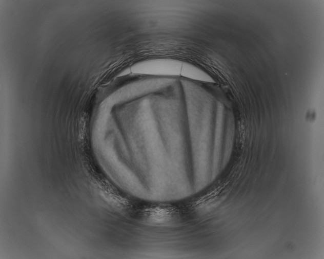 X0000088870412200706291545