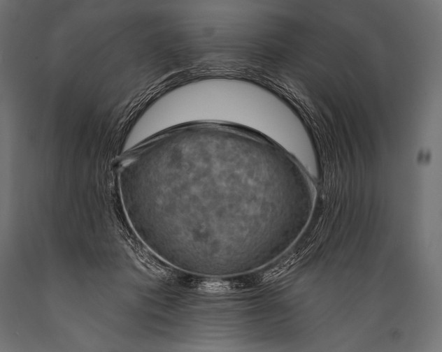 X0000088870413200706291545