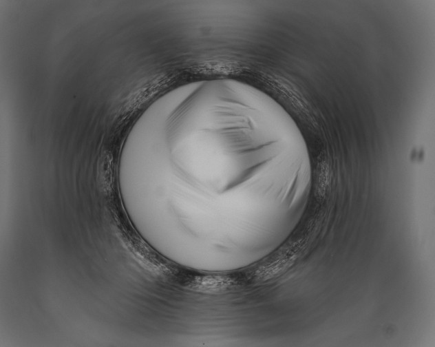 X0000088870414200706291545