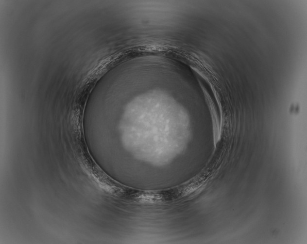 X0000088870415200706291545