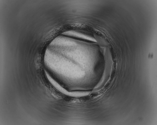 X0000088870416200706291545