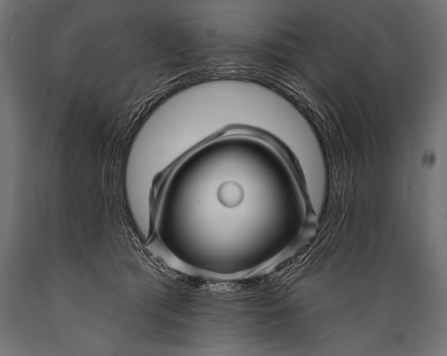 X0000088870417200706291545