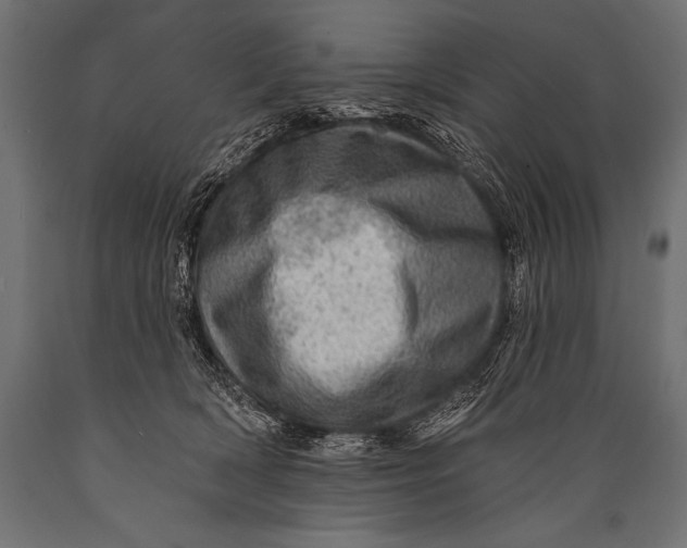 X0000088870418200706291545