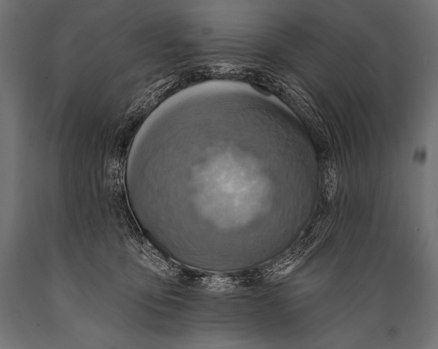 X0000088870419200706291545