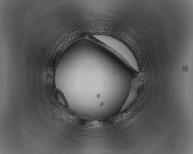 X0000088870421200706291545