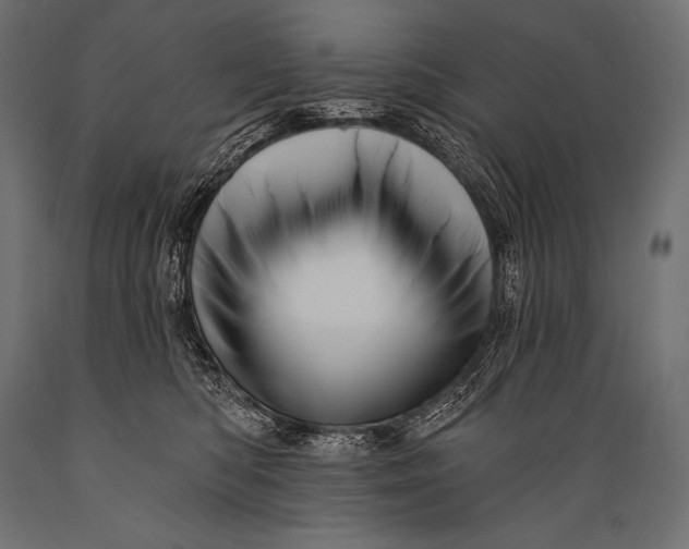 X0000088870422200706291545
