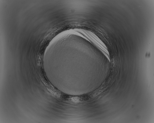 X0000088870423200706291545