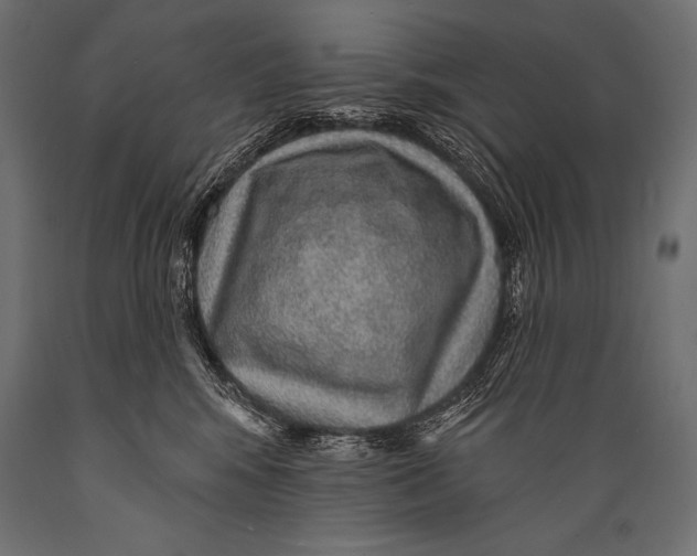 X0000088870424200706291545
