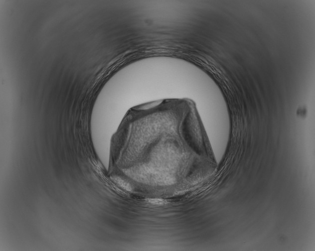X0000088870425200706291545