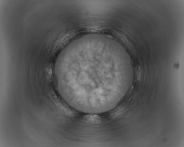 X0000088870427200706291544