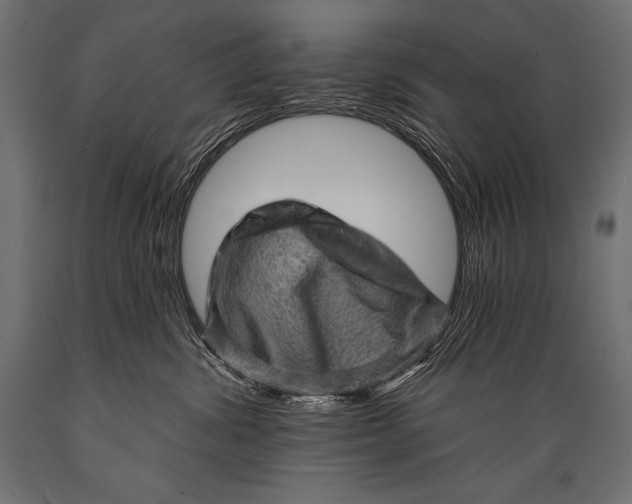 X0000088870428200706291544