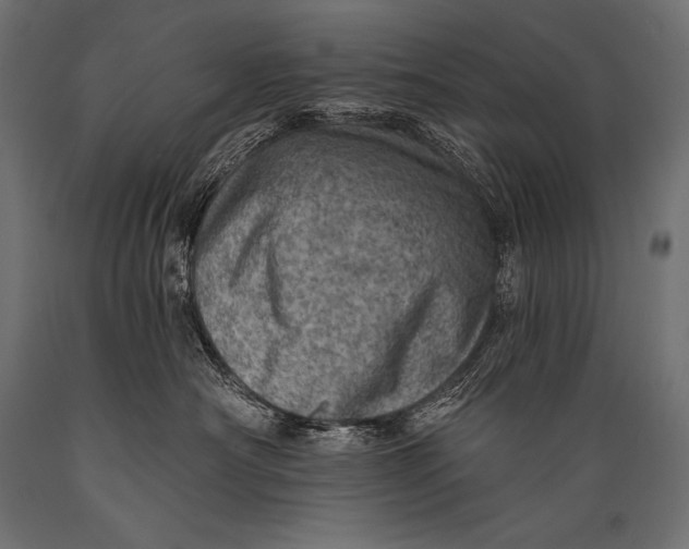 X0000088870430200706291544