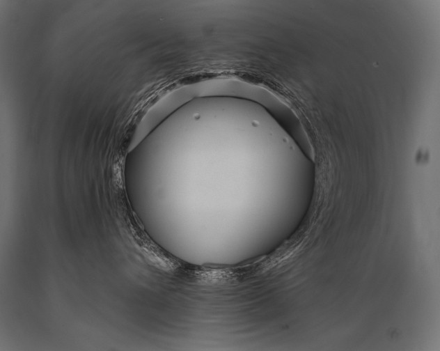 X0000088870432200706291544