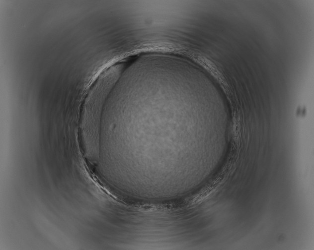X0000088870434200706291544