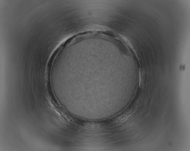 X0000088870435200706291544