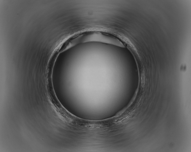 X0000088870436200706291544