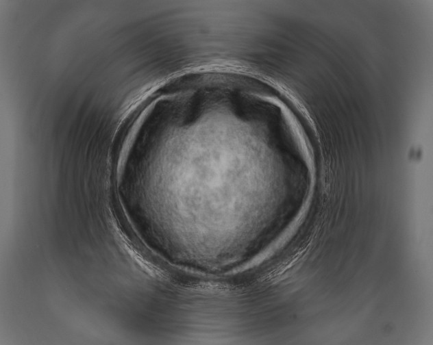 X0000088870437200706291544
