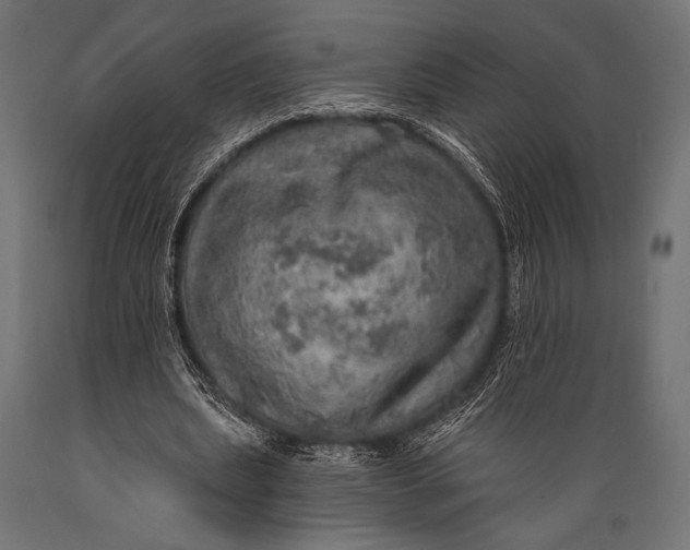 X0000088870439200706291544