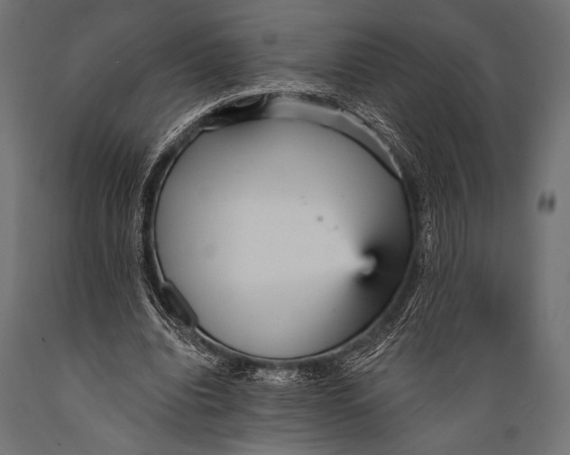 X0000088870440200706291544