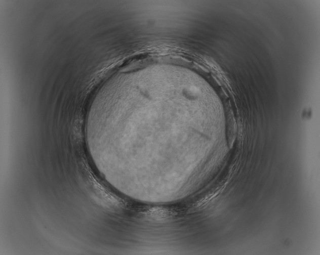 X0000088870441200706291544