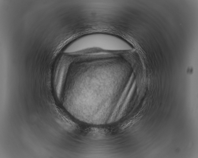 X0000088870442200706291544