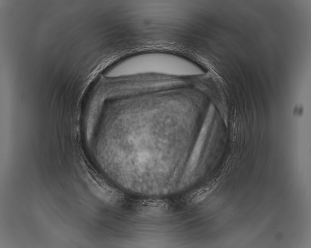 X0000088870443200706291544