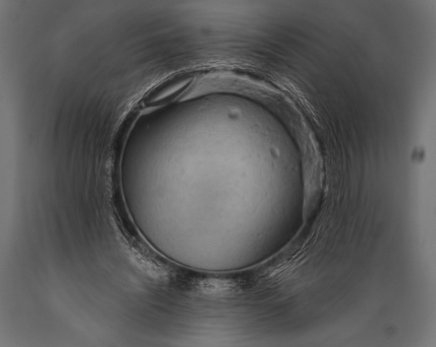X0000088870444200706291544
