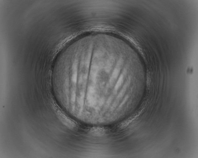 X0000088870445200706291544