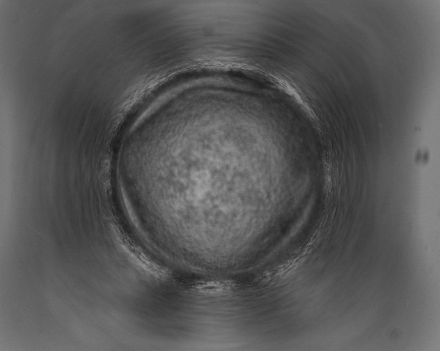 X0000088870447200706291544